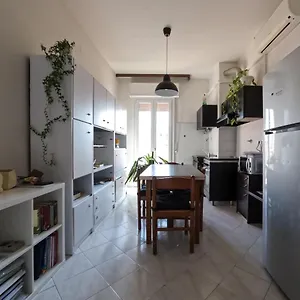Spadini Bologna